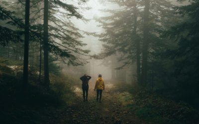 Log management e SIEM: gli eroi silenziosi della cybersecurity
