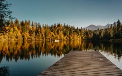 Governance che non si vede: Purview tra label e DLP